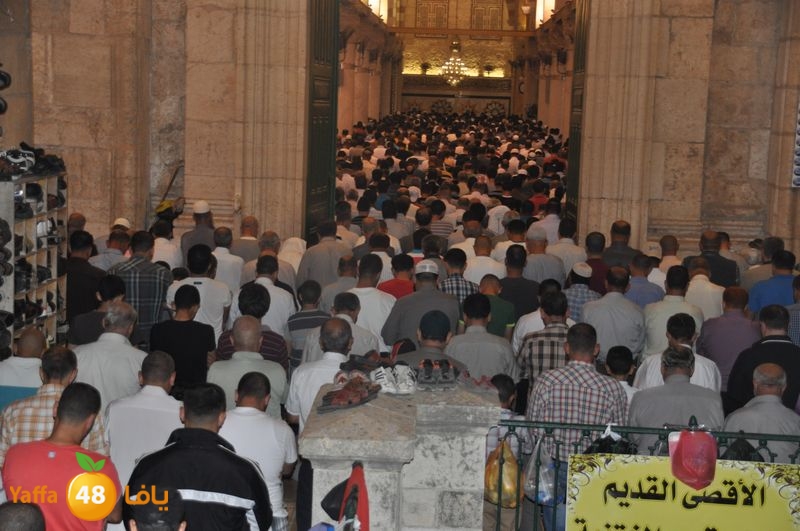 lud trawer7 aqsa 805 (2).JPG